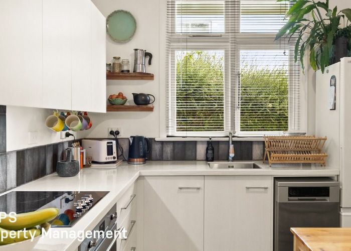  at 44 Rhodes Terrace, North East Valley, Dunedin, Otago