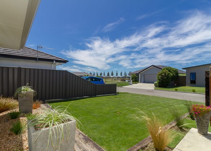  at 17 Ruakituri Place, Te Awa, Napier