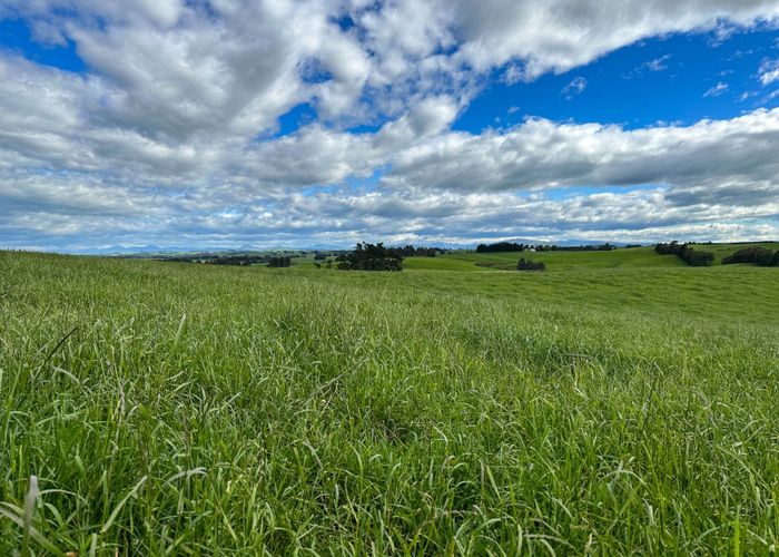  at 559 Pinnacle Road, Willowbank, Gore