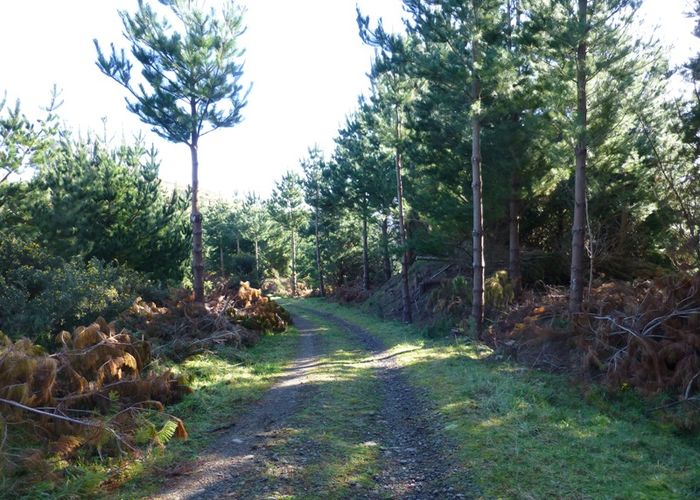  at 0 Ridge Road, Mangamutu, Pahiatua