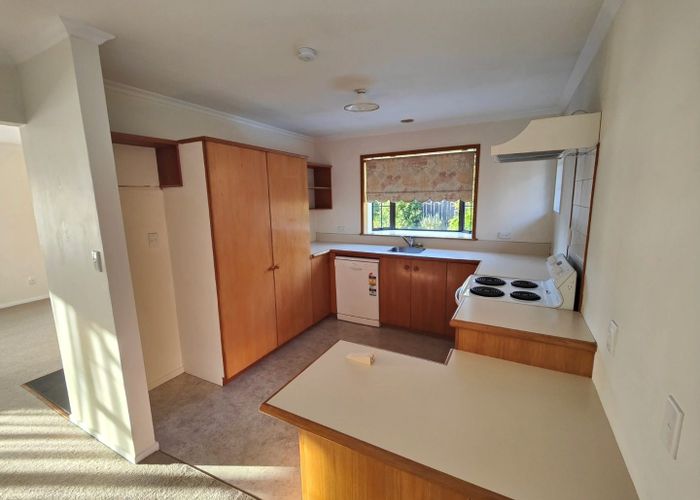  at 12 Regent Place, Witherlea, Blenheim, Marlborough