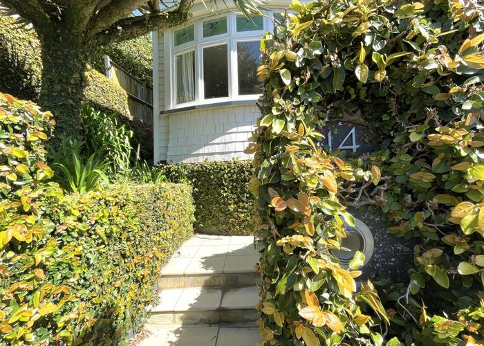  at 14 Vine Street, Saint Marys Bay, Auckland