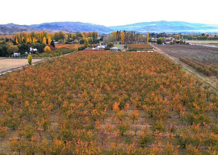  at 13 Blackman Road, Alexandra, Central Otago, Otago