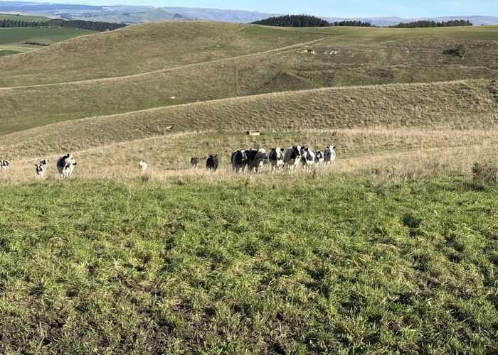  at Peaks Road, Windsor, Waitaki, Otago