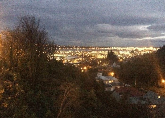  at 20C Lachlan Avenue, North Dunedin, Dunedin, Otago