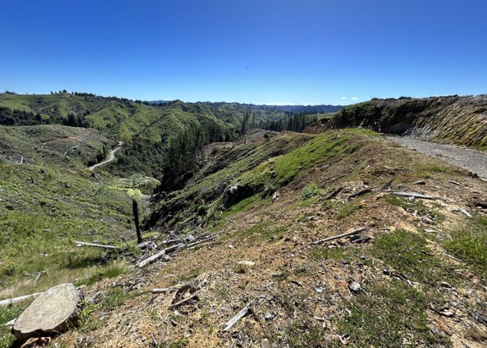 For sale Junction Road RD 25, Stratford East, Stratford, Taranaki