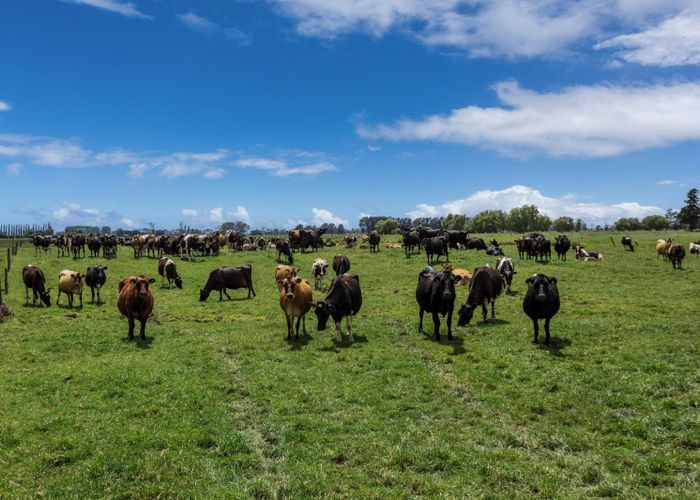  at 172 Sutherland Road, Matata, Whakatane, Bay Of Plenty