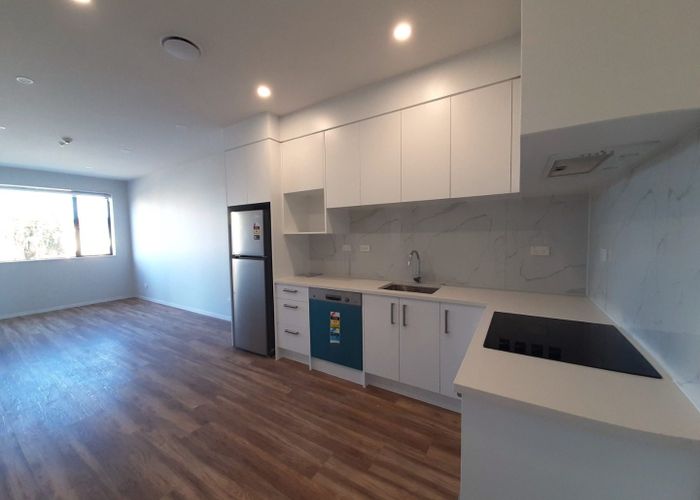  at 102/98 Haverstock Road, Sandringham, Auckland City, Auckland