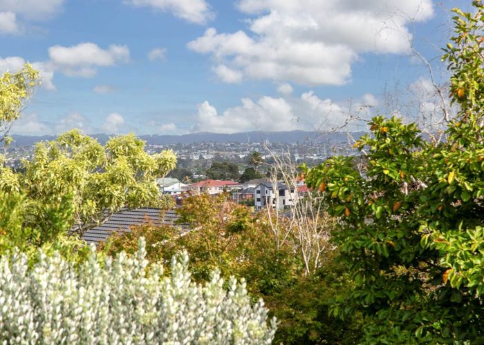  at 45 Peter Buck Road, New Windsor, Auckland City, Auckland