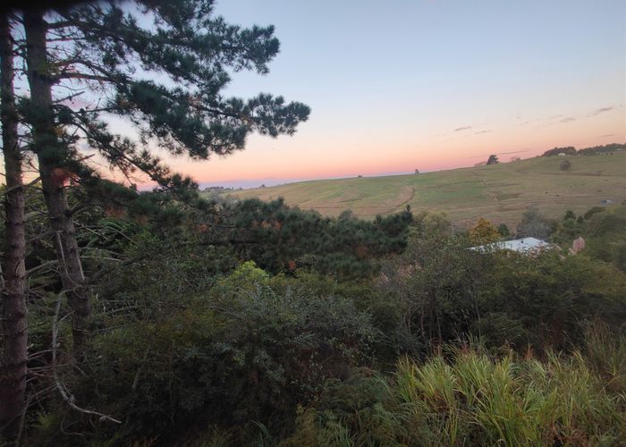  at 141 Renown Road, Waikokowai, Huntly