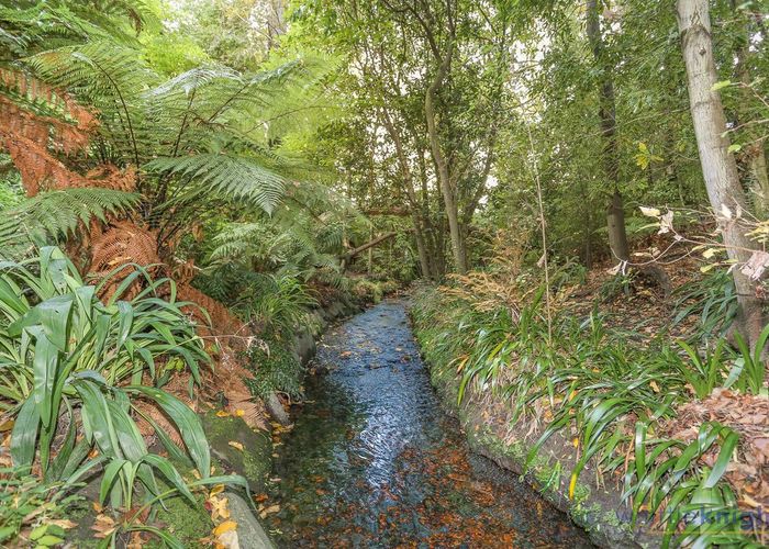  at 46 Balrudry Street, Avonhead, Christchurch