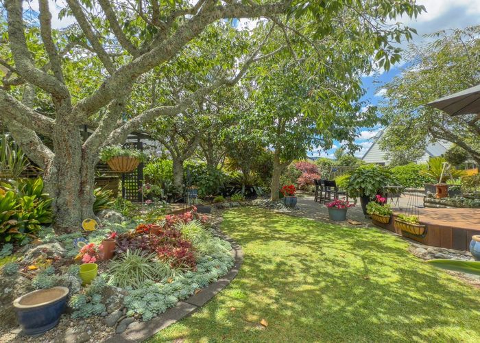  at 53A Norwood Road, Paeroa, Paeroa