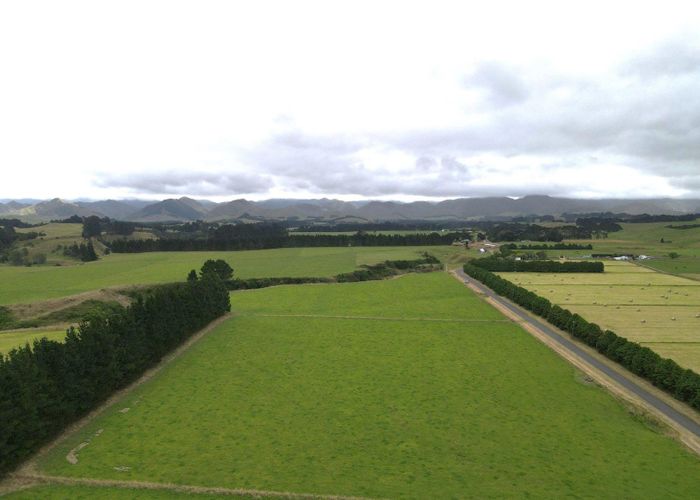  at 49 Gundries Road, Dannevirke, Tararua, Manawatu / Whanganui
