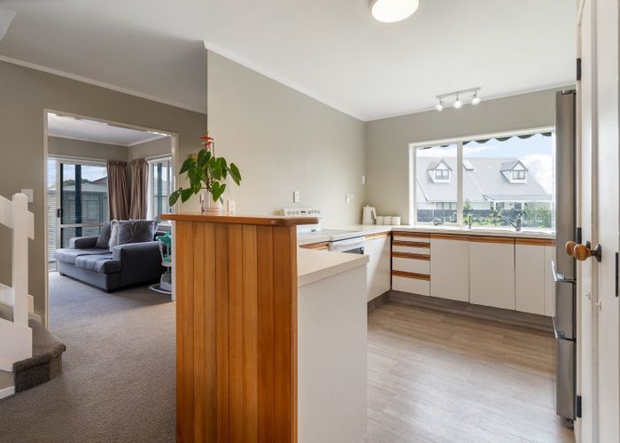  at 2A Michael Way, Judea, Tauranga, Bay Of Plenty