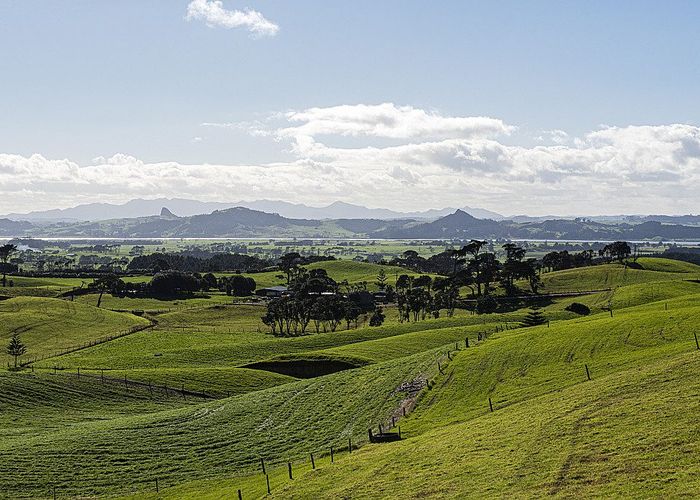 at 614 Te Maire Rd, Te Kopuru, Kaipara, Northland