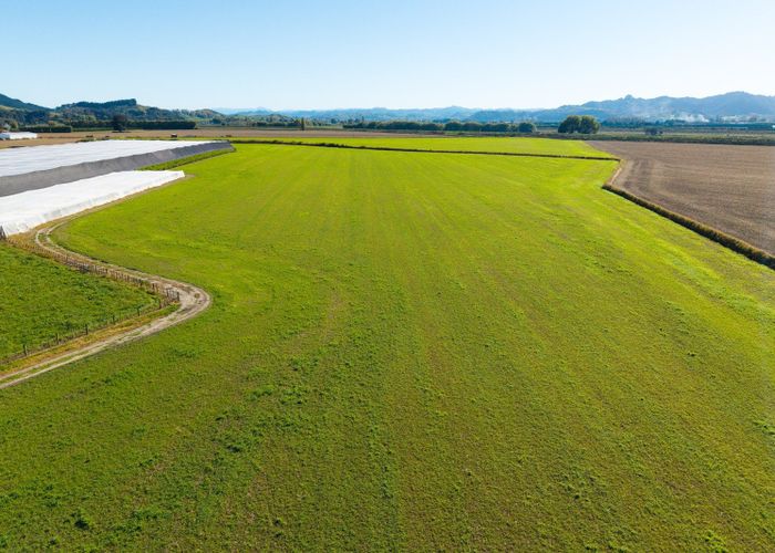  at Lot 4 Judd Road, Patutahi, Gisborne, Gisborne