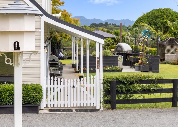  at 286 Youngson Road, Whakamarama, Western Bay Of Plenty, Bay Of Plenty