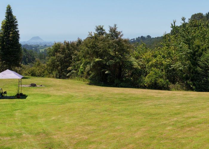  at 232C Williams Road North, Pyes Pa, Tauranga, Bay Of Plenty