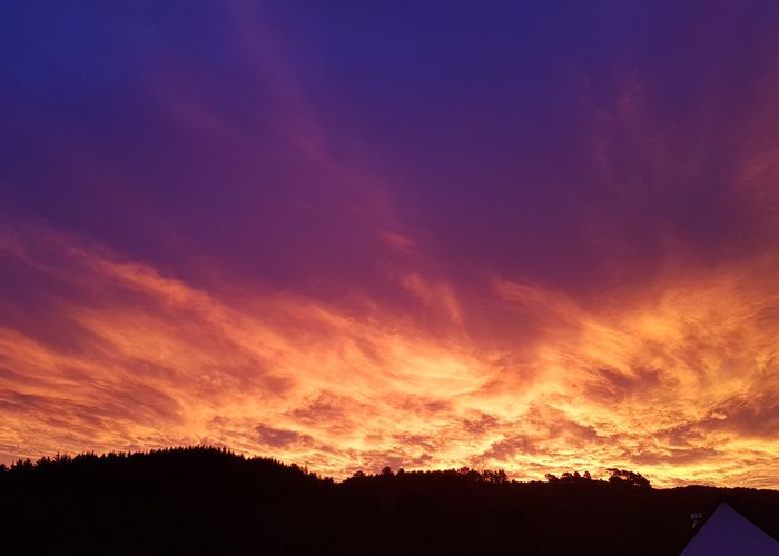  at 11 Te Ahi Parera Place, Korokoro, Lower Hutt