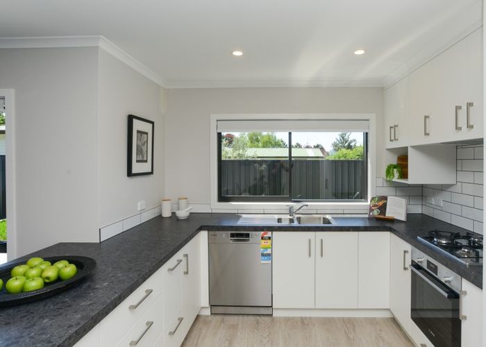  at 1008B Frances Street, Akina, Hastings