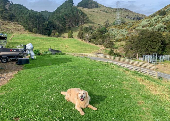  at 88 Morrison Road, Komata, Paeroa