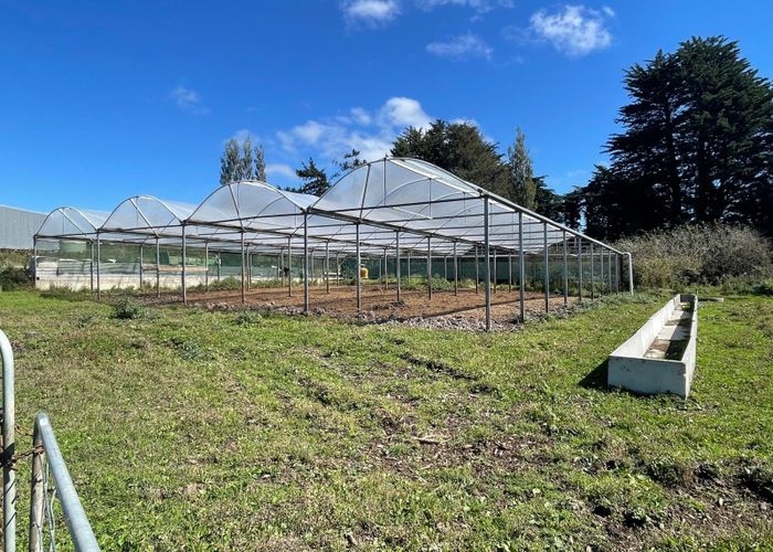  at 102 Lowe Road, Ashers, Southland, Southland