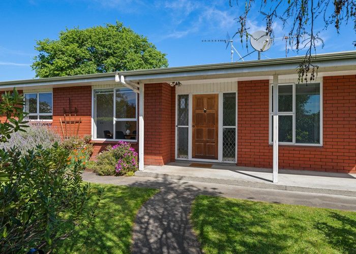  at 62 Litchfield Street, Redwoodtown, Blenheim