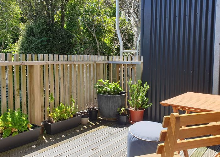  at 46B Thompson Street, Mount Cook, Wellington