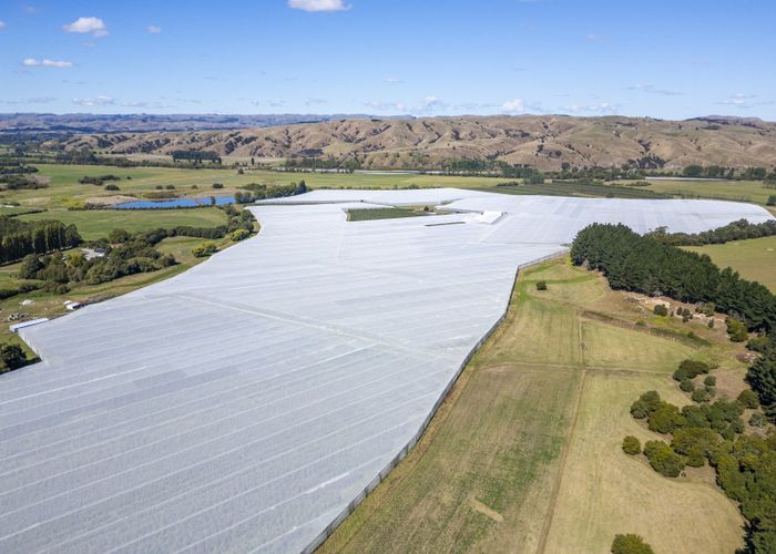  at 78 Gregs Lane, RD 1, Greytown, South Wairarapa, Wellington