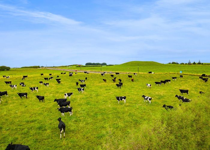 at 41a Ball Road, Patea, South Taranaki, Taranaki