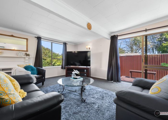  at 115 Mcleod Street, Elderslea, Upper Hutt