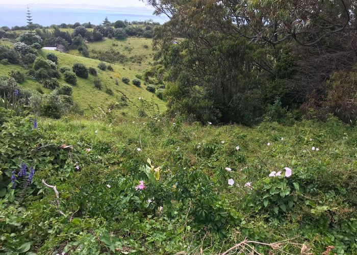  at 43 Ocean View Crescent, Rakino Island, Auckland