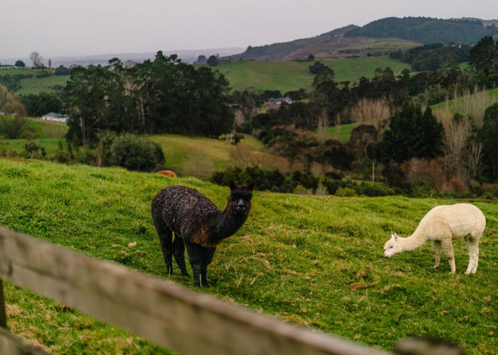  at 155 Pratts Road, Ramarama, Franklin, Auckland