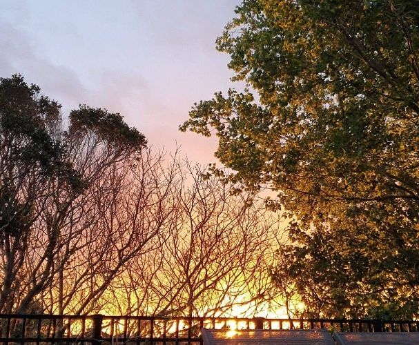  at 81a Banks Street, Marfell, New Plymouth, Taranaki