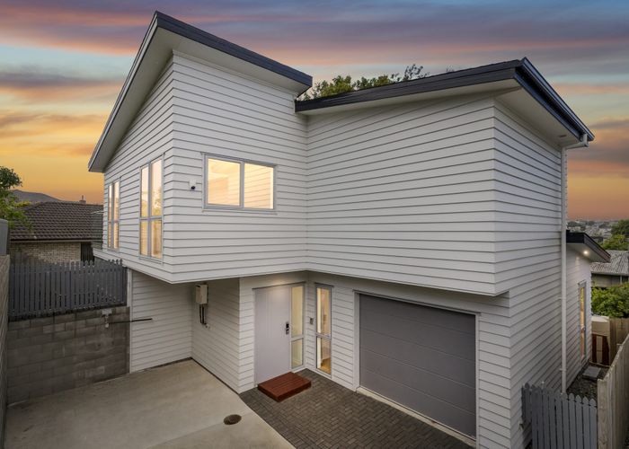  at 117B White Swan Road, Mount Roskill, Auckland City, Auckland
