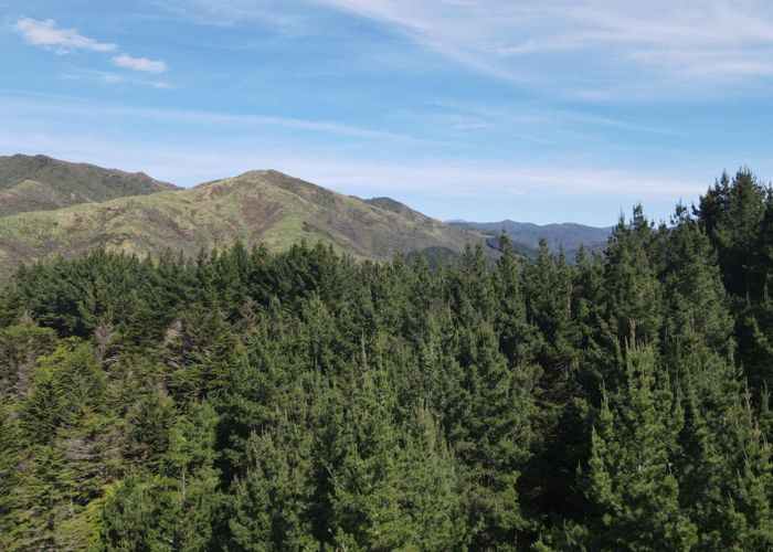  at 353 Pretoria Road, Shannon, Horowhenua, Manawatu / Whanganui