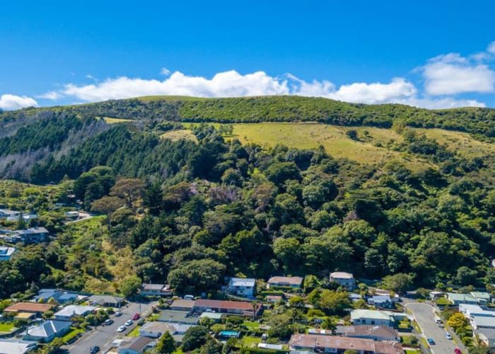  at 101 Cambria Street, The Wood, Nelson, Nelson / Tasman
