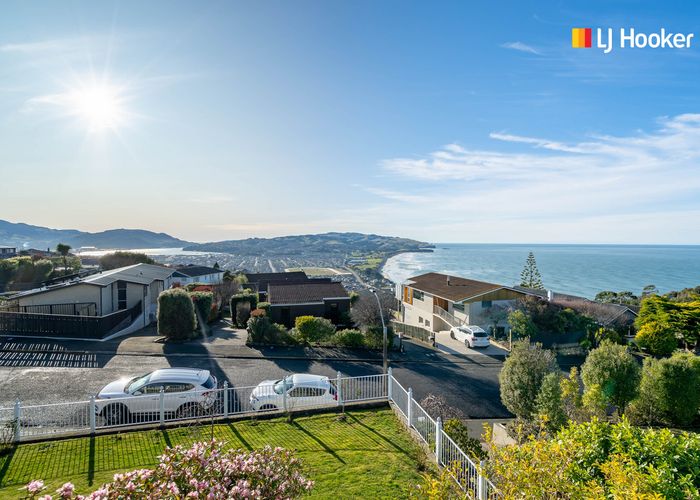  at 20 Sutcliffe Street, Saint Clair, Dunedin