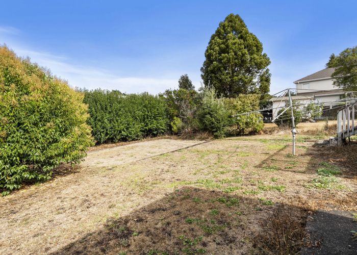  at 213 Campbell Road, Greenlane, Auckland City, Auckland