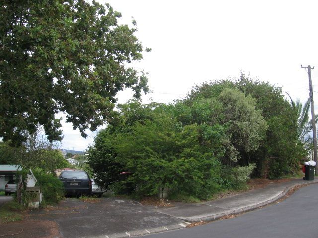  at 10 Young Road, Mount Wellington, Auckland City, Auckland