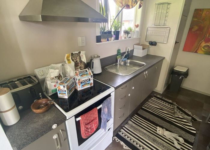  at 384 Newell Road, Tamahere