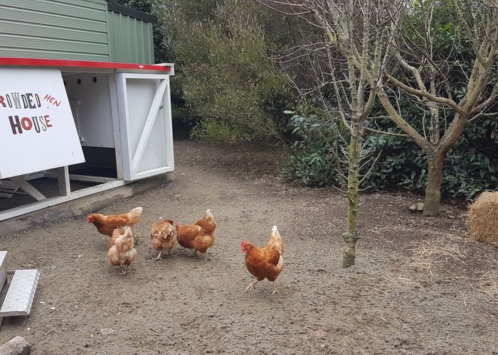  at 14 Faith Place, Christchurch