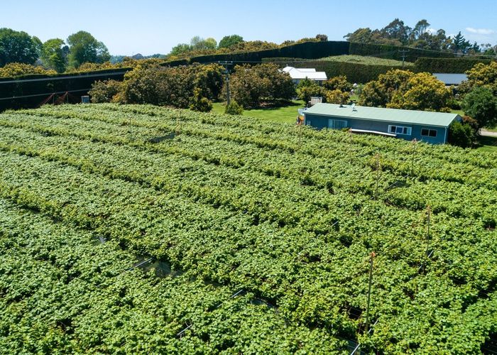  at 154B Wairoa Road, Te Puna, Western Bay Of Plenty, Bay Of Plenty