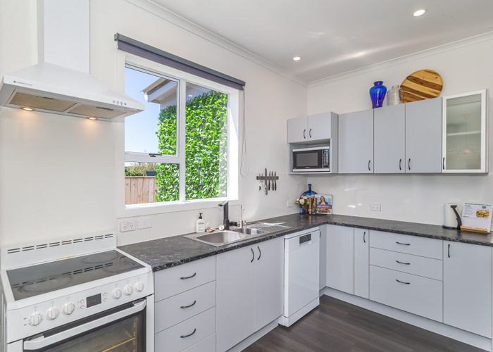  at 38 Princes Street, Levin