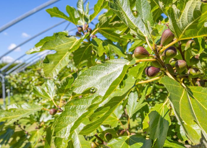  at 32 Ohinewai Road, Ohinewai, Waikato, Waikato