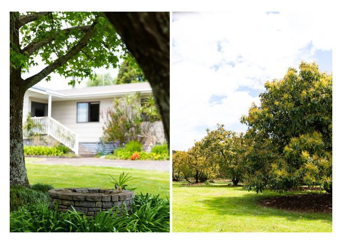  at 86B PAHOIA ROAD, Western Bay Of Plenty