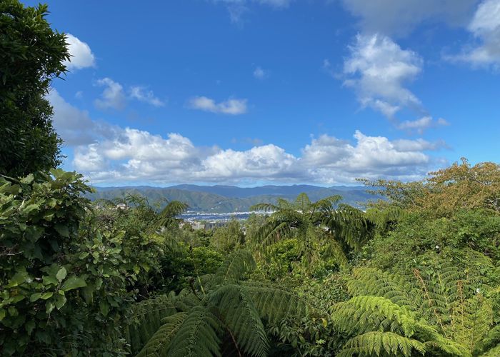  at 10A Camellia Terrace, Maungaraki, Lower Hutt