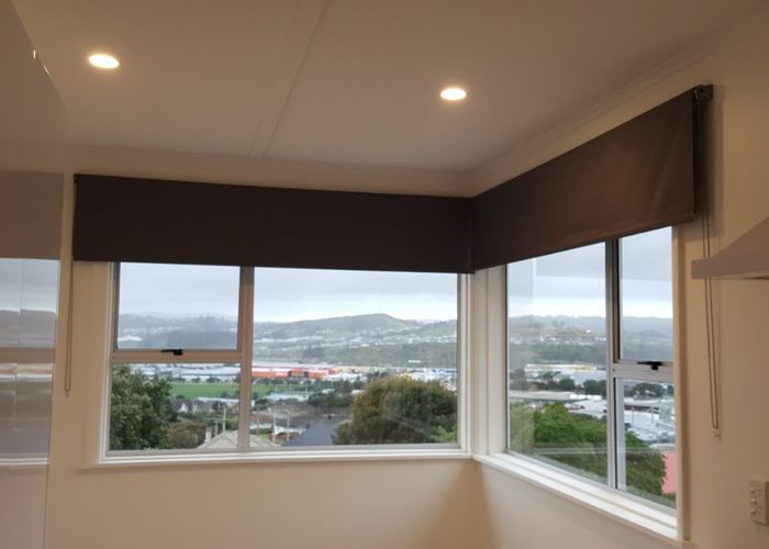  at 12 Waiho Terrace, Elsdon, Porirua