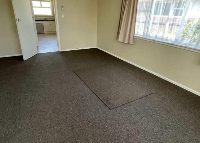  at 19 Siddal Place, Richmond, Christchurch