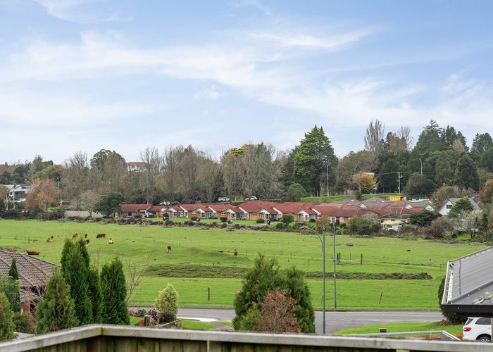  at 12 Fleur Place, Te Puke, Western Bay Of Plenty, Bay Of Plenty